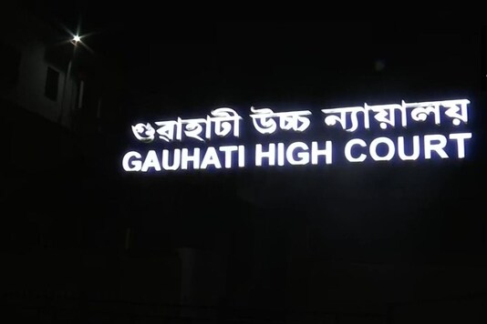 Image for representation. (ANI)