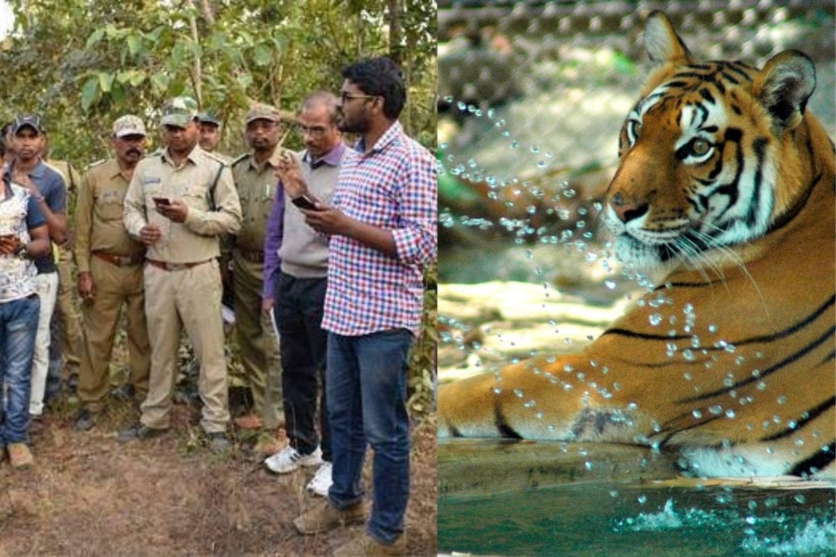 This Engineer From Chhattisgarh Quit his Job to Conserve Wildlife, Helped Clear Hundreds of Traps