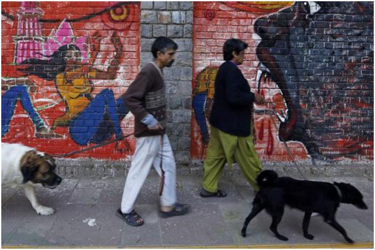 Clumsy Delhiites May Soon Incur Heavy Fines for Leaving Behind Their Pets' Poop in Public