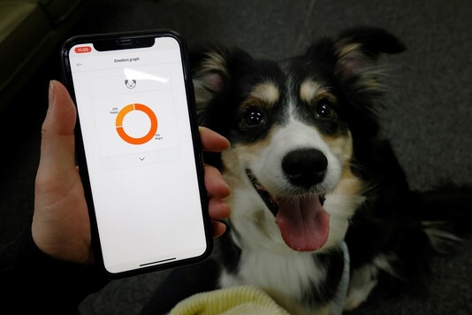 Moon Sae-mi tries out Petpuls, an AI-powered smart dog collar, with her dog Godot during a demonstration in Seoul, South Korea.

REUTERS/Kim Hong-Ji