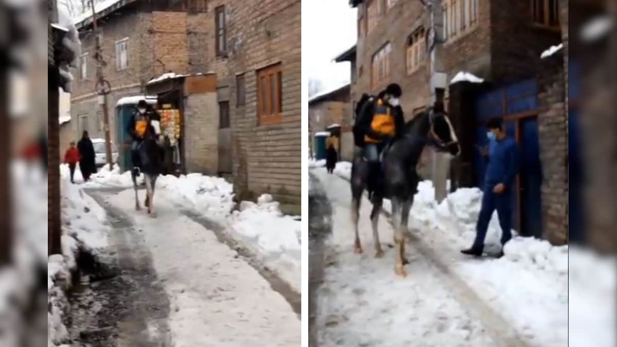 Watch: Man Arrives on Horseback to Deliver Parcel as Snow Chokes Roads in Kashmir