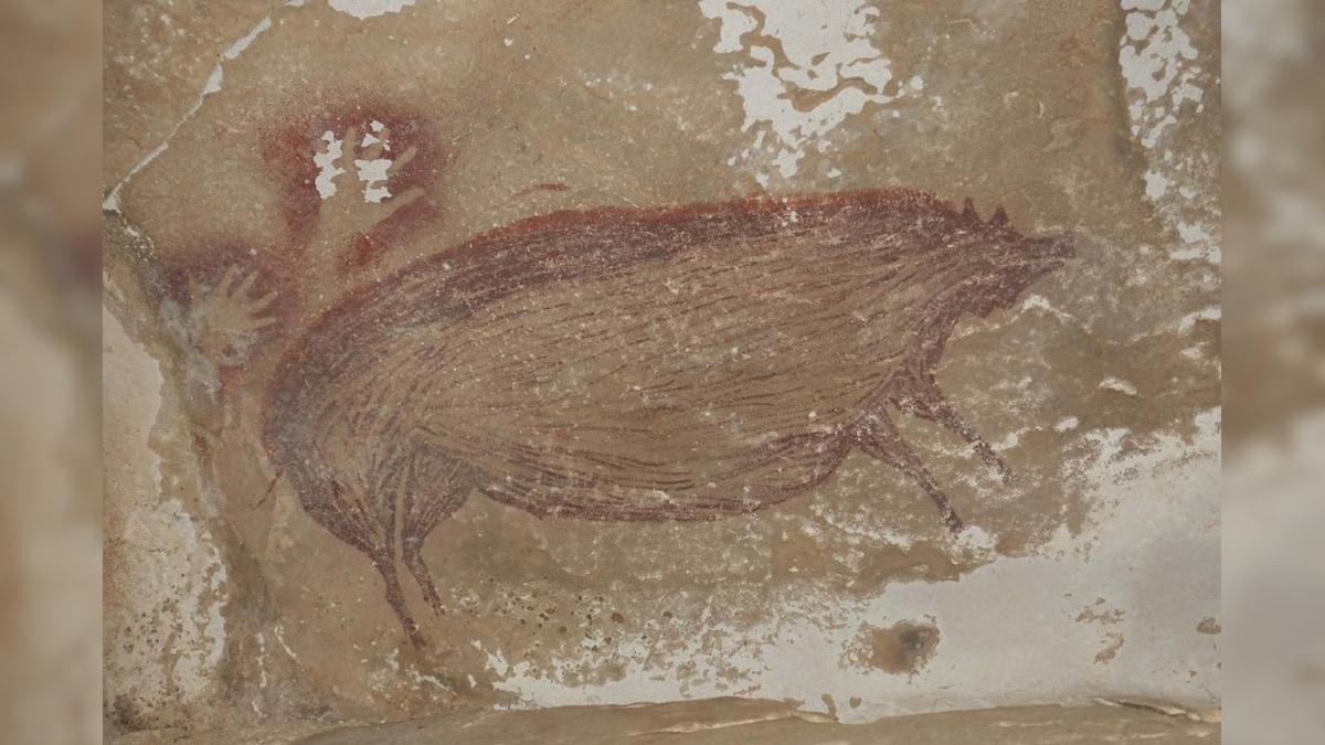 World's Oldest Known Cave Painting Found in Indonesia Depicts Life-Size Wild Pig