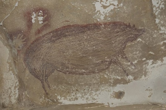 This undated handout photo shows a dated pig painting at Leang Tedongnge in Indonesia This undated handout photo shows a dated pig painting at Leang Tedongnge in Indonesia