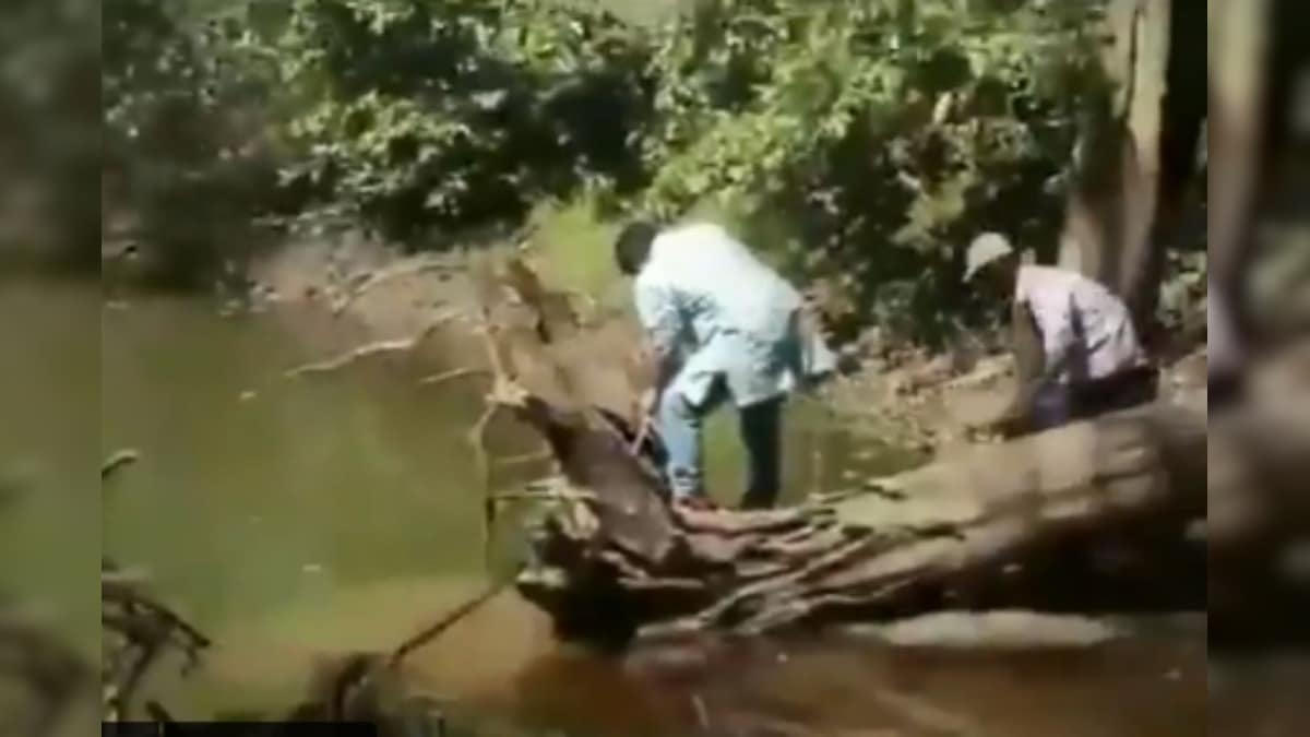 Watch: Terrifying Video Shows Snake Catcher Narrowly Escaping Cobra ...