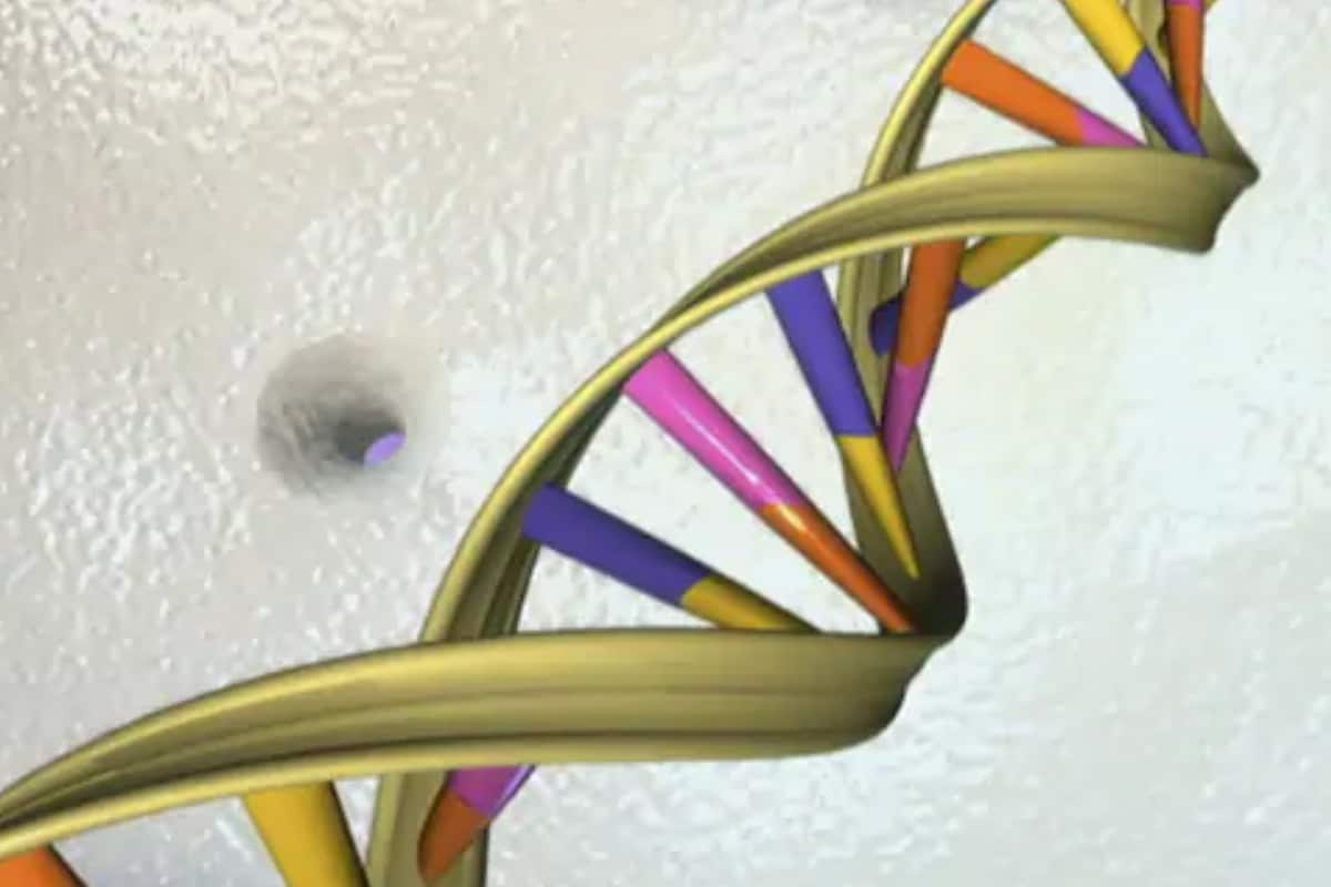 Scientists have successfully sequenced all 64 human genomes for the first time