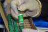 India to Test Covid-19 Vaccines Covishield, Covaxin After Detection of Brazil & South Africa Variants in Country