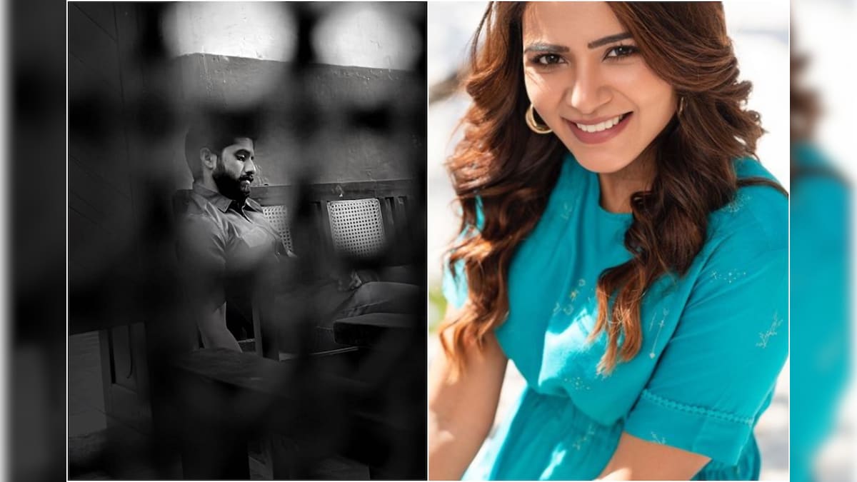 Samantha Akkineni's Flirty Response to Naga Chaitanya's Serious Pic is Why They are Couple Goals