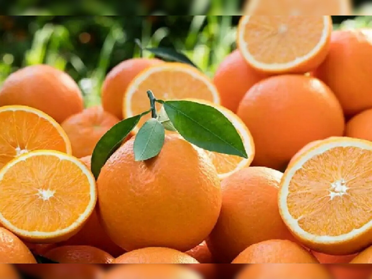 Top 156+ imagen orange in urdu fr.thptnganamst.edu.vn