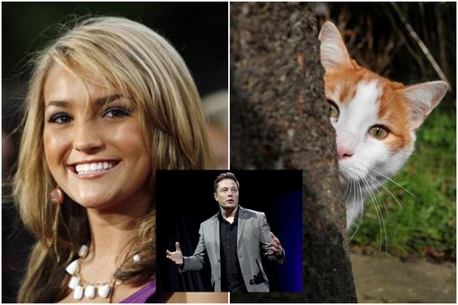 Jamie Lynn Spears said Elon Musk owed her a couple of cats | Image credit: Reuters