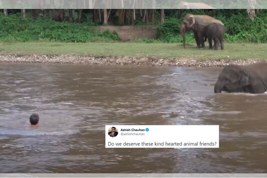 WATCH: Video of Elephant Rescuing a 'Drowning' Man Goes Viral (Again). Here's Why