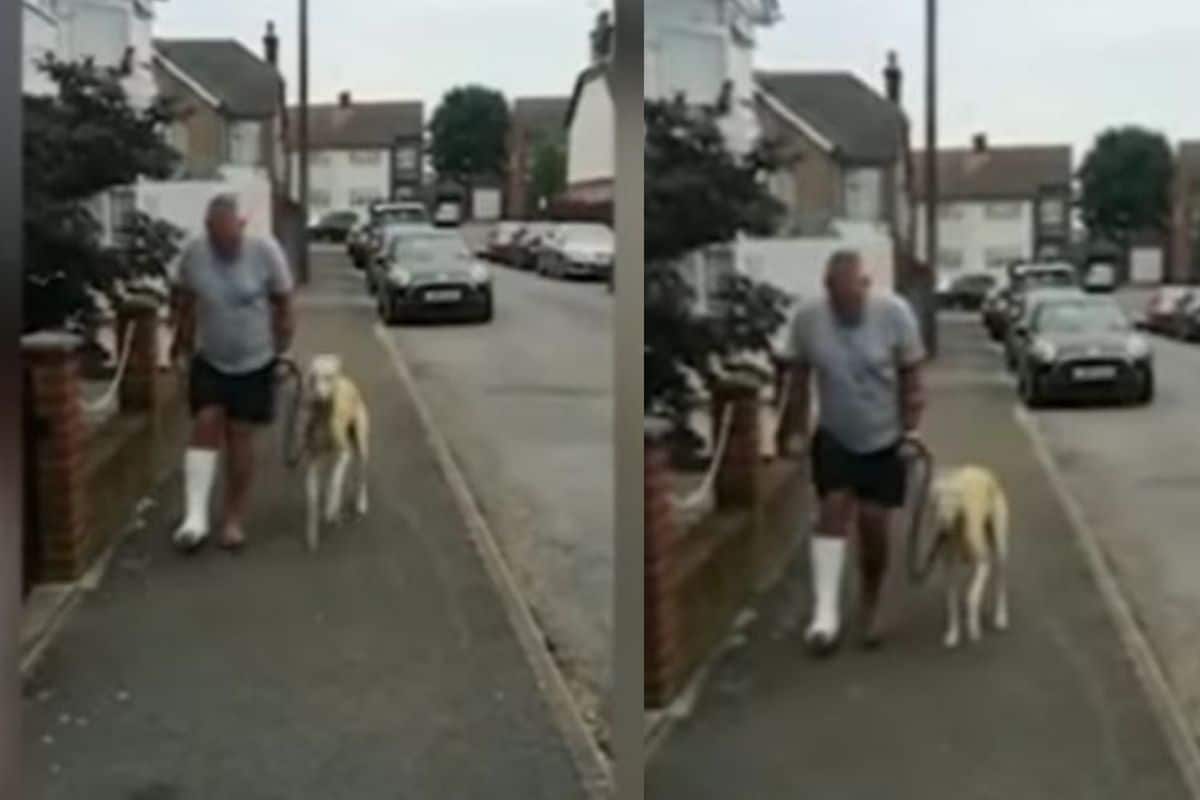 Owner Spends $300 to Treat His Dog's Limping, Later Finds out He was Imitating Him out of Sympathy