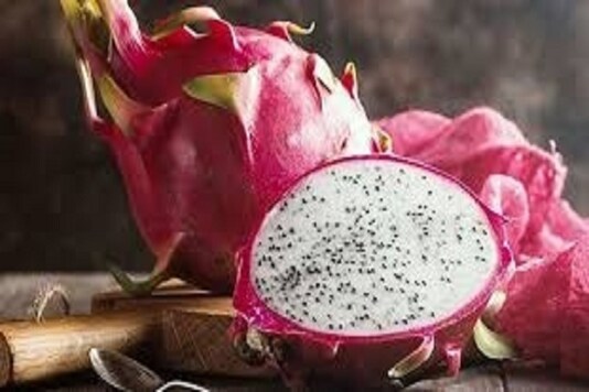 Dragon fruit farming.