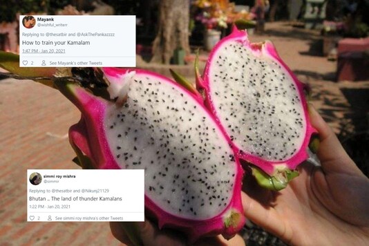 Dragon fruit.