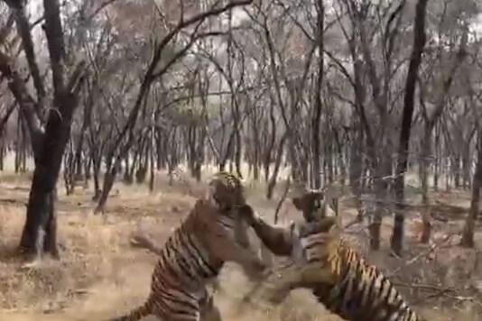 Screenshot of the viral video.
