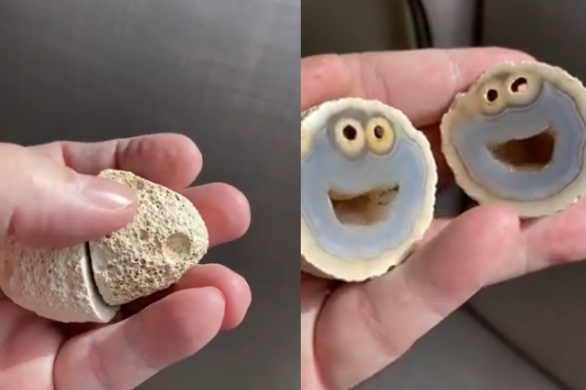 Geologist in Brazil Discovers Rare Volcanic Rock Worth Over 7 Lakh and ...