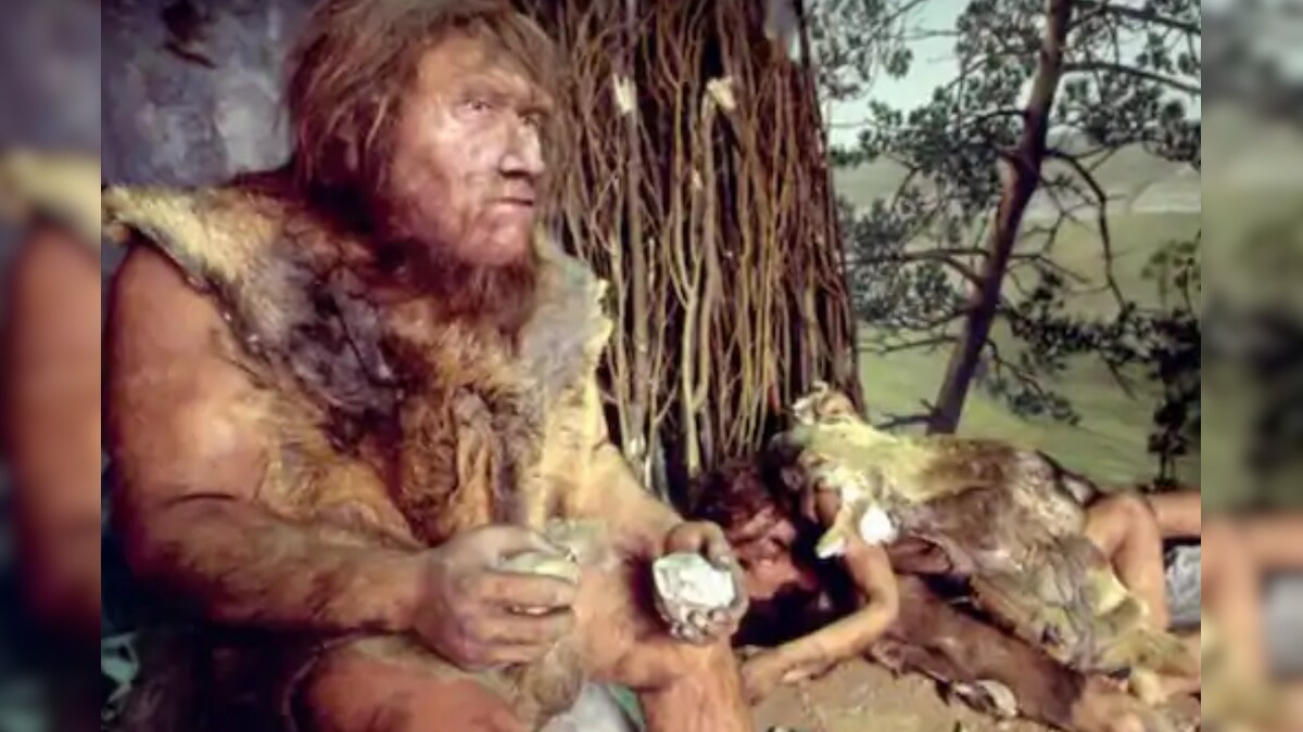 Ancient Humans Might Have Mingled and Mated With the Neanderthals, Researchers Claim