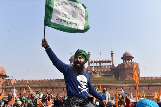 A protester raises a flag at the Red Fort. (PTI)