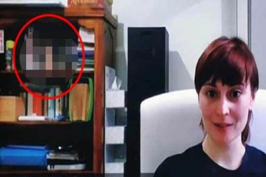 The internet also started discussing whether the item was actually a sex toy or an art piece. (Credit: twitter)