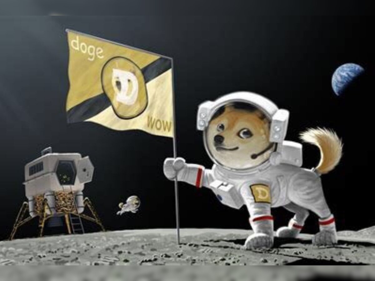 Dogecoin Memes are Surging on Twitter After Reddit Inflated Cryptocurrency  Value