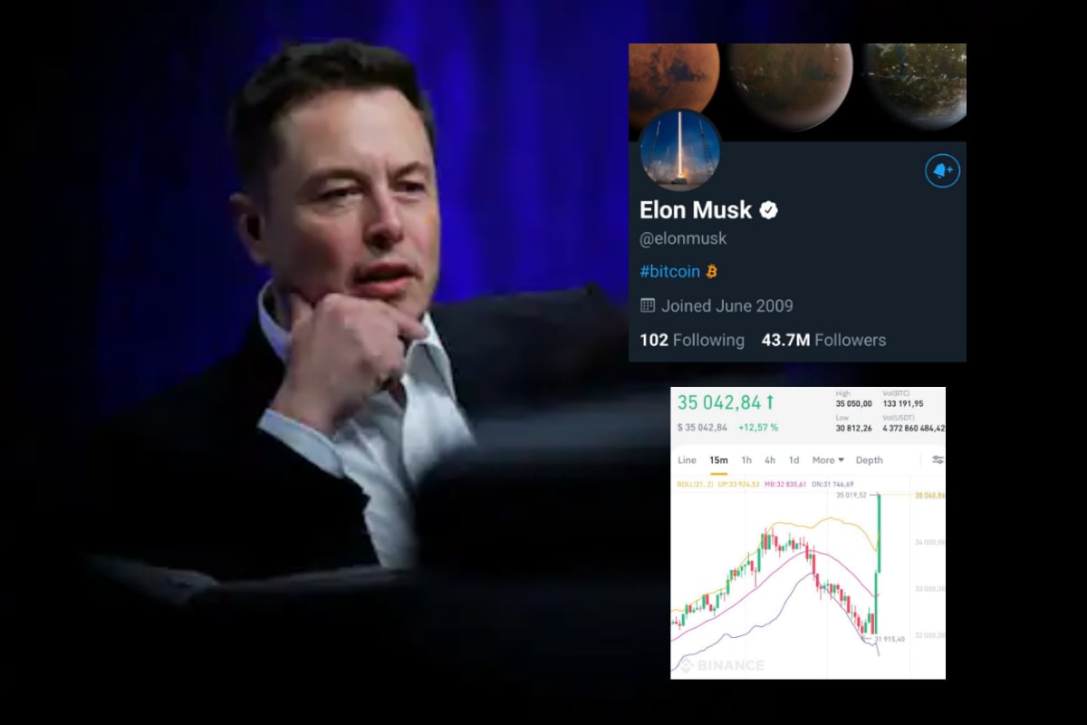 elon musk meme bitcoin