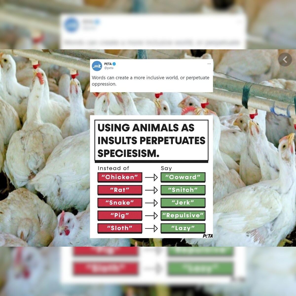 PETA Urges People Not to Use Animal Names as Insults, Gets Brutally Trolled