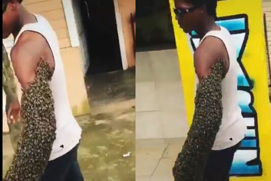 Video grab of man walking with a bee swarm.