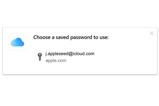 iCloud Passwords extension for Google Chrome browser