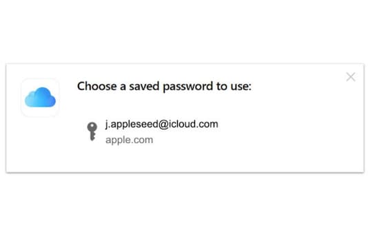 iCloud Passwords extension for Google Chrome browser