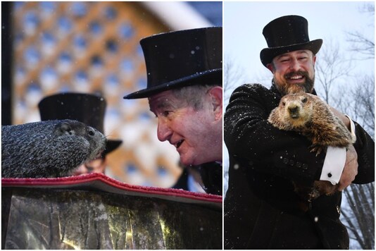 Punxsutawney Phil predicts more winter for US on Groundhog Day | Image credit: AP