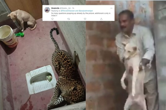 Images of the dog and leopard inside one toilet in Karnataka.
(Credit: Twitter/ @prajwalmanipal)
