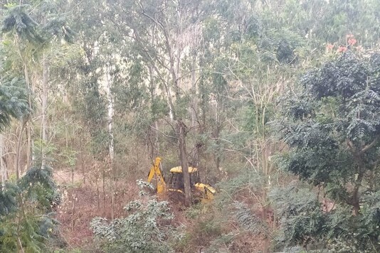 An earth mover was spotted in Turahalli forest on Wednesday. (Image credit: @leofsaldanha)