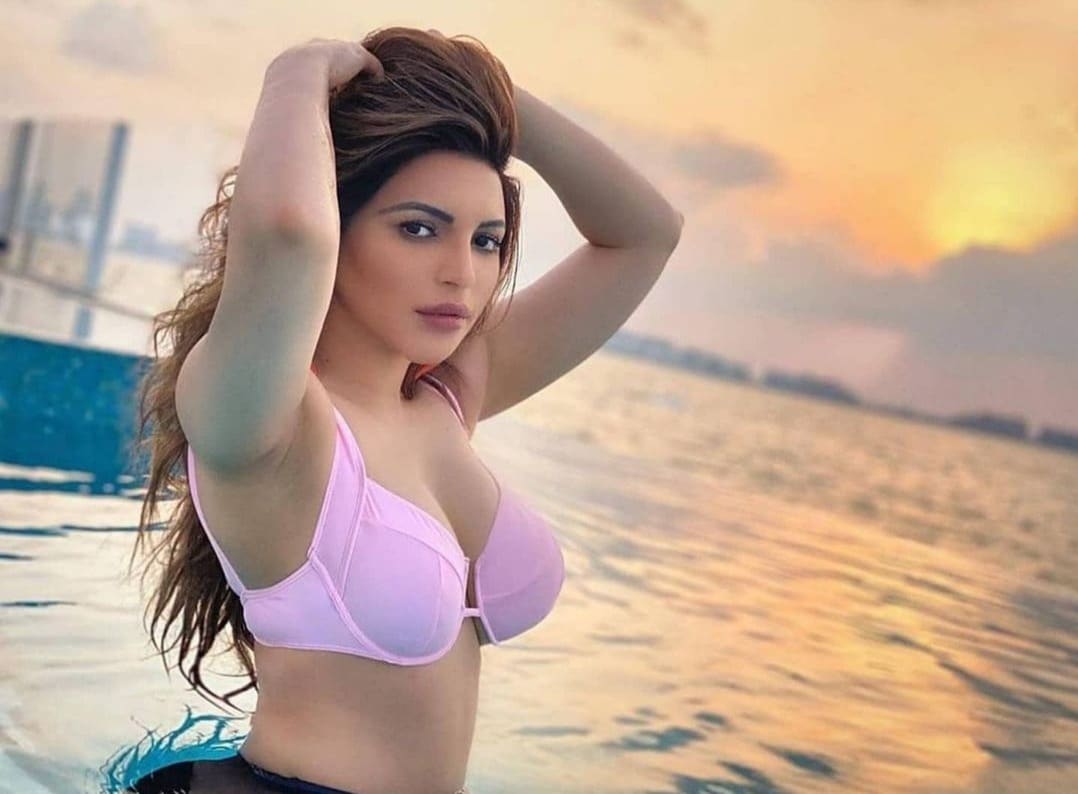 Shama Sikander Looks Sizzling Hot In These Sexy Throwback Photos Take A Look News18