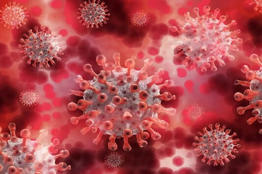 coronavirus covid-19 pandemic