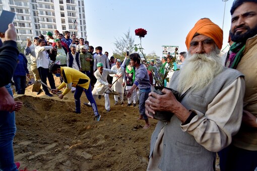 A farmer holds saplings to be planted at the protest site, during their ongoing agitation against farm laws, at Ghazipur border on Feb. 5 (Image: PTI)