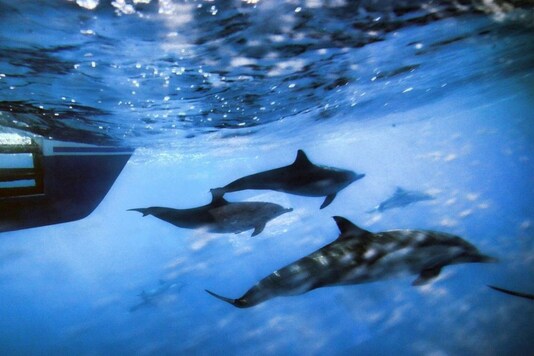Photo: AP