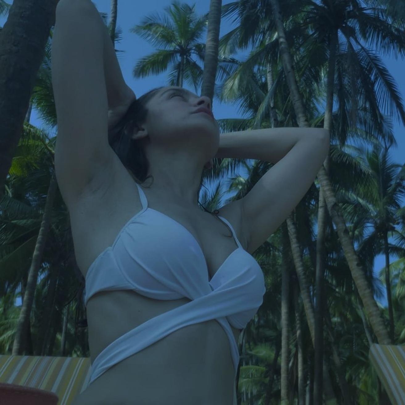 Sanjeeda Shaikh Looks Irresistible As She Flaunts Her Sexy Body In Latest Instagram Pictures Photogallery Seen here are sanjeeda sheikh, aamir ali, karanvir bohra, shabir ahluwalia, jennifer winget, mouni roy. sanjeeda shaikh looks irresistible as