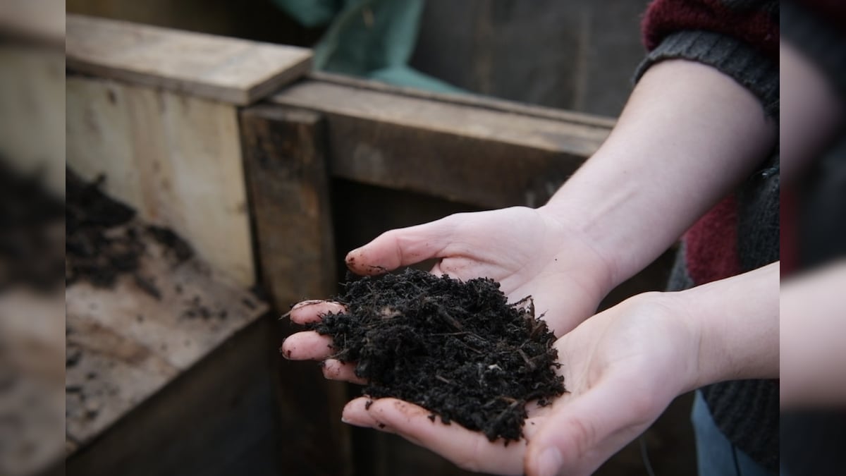 Undervalued Waste: How a Company in Paris is Turning Kids' Diapers into Compost Gold