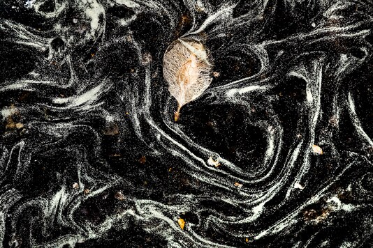 FILE - In this photo, pollen swirls around in a puddle in a parking lot in Spokane, Wash. A new study released Monday, Feb. 8, 2021, in the journal the Proceedings of the National Academies of Sciences, found across the United States and Canada pollen season is starting 20 days earlier and pollen loads are 21% higher since 1990 and a huge chunk of that is because of global warming. (Colin Mulvany/The Spokesman-Review via AP, File)