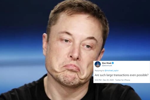 how much did elon buy bitcoin for