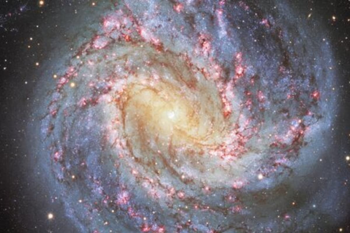 Dark Energy Camera Captures Stunning Picture of Southern Pinwheel Galaxy in All its Glory - Vimarsana News