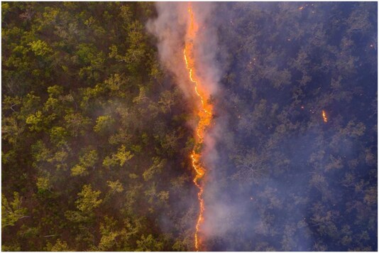 Image of the Australian bushfire won photographer Robert Irvin Best Wildlife Photographer of the Year award | Image credit: Instagram