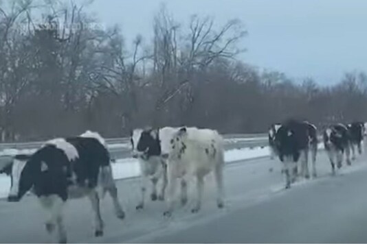 Screengrab of video from YouTube.