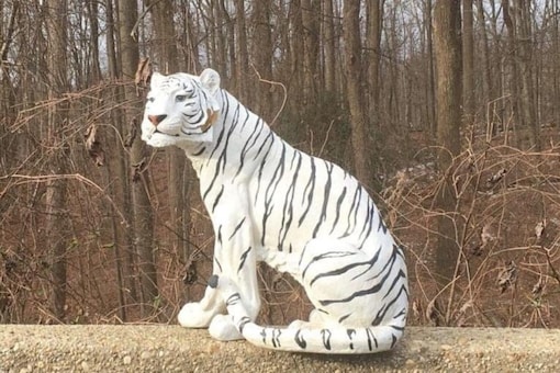 The White Tiger figurine spotted on highway. 