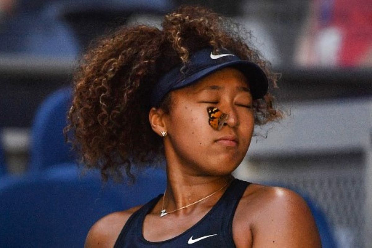 A Butterfly Landed On Japan S Naomi Osaka At Australian Open Photos Go Viral A Butterfly Landed On Japan S Naomi Osaka At Australian Open Photos Go Viral
