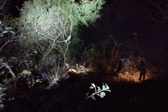 The bus reportedly skid off the road and fell into a gorge. (Image: Twitter)