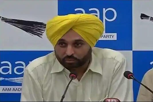 File photo of AAP leader Bhagwant Maan