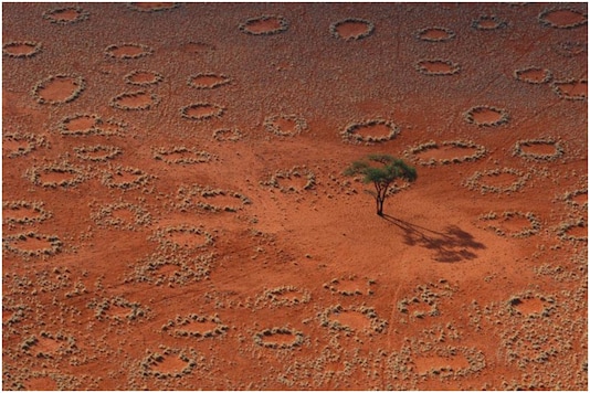 Image result for Mystery Behind African 'Fairy Circles' Solved, the Answer is More Toxic Than We Thought