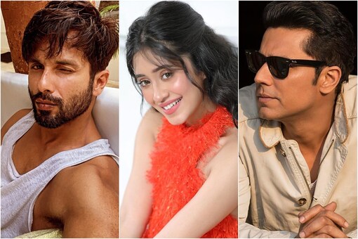Shahid Kapoor, Randeep Hooda, Shivangi Joshi Bitten by the 'Pawri' Bug