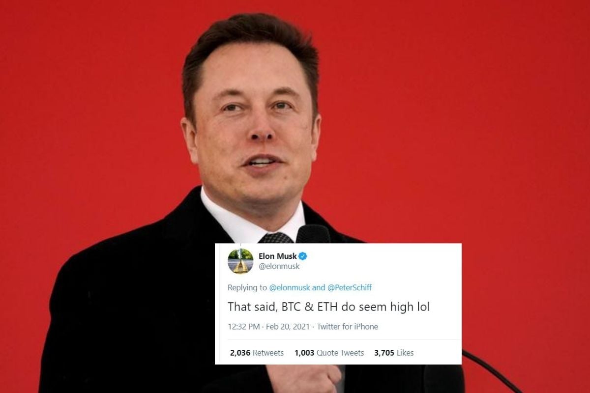 how much bitcoin does elon musk own