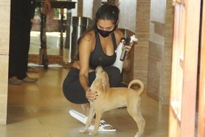 Malaika Arora's Sexy Gym Outings Continue, Meets New Four-Legged Friend Post Workout